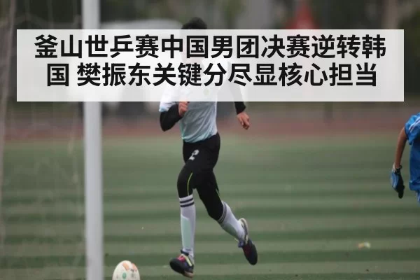 釜山世乒赛中国男团决赛逆转韩国 樊振东关键分尽显核心担当